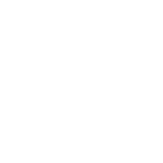 vv logo name